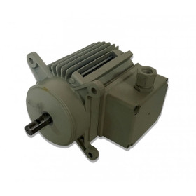 Moteur électrique C026800