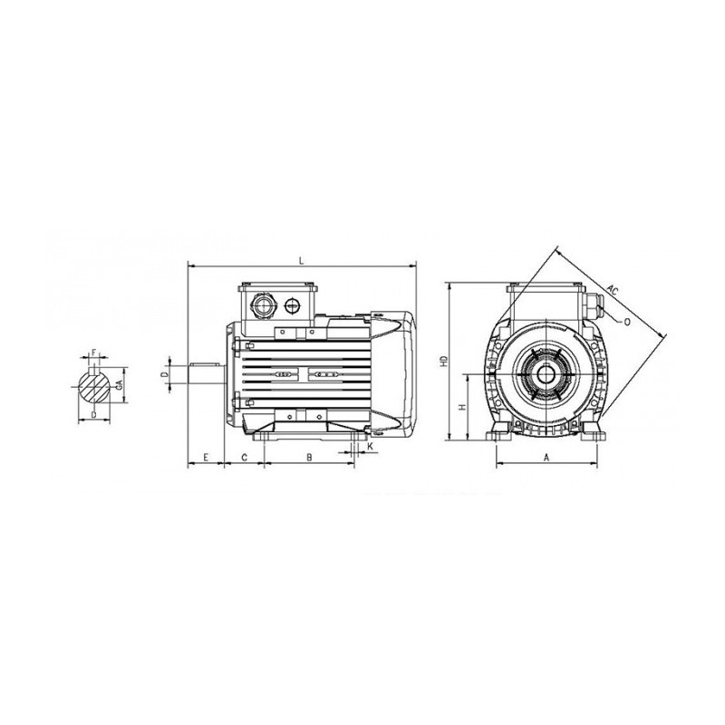 Moteur électrique Q2E100 L2C40 3.0/2