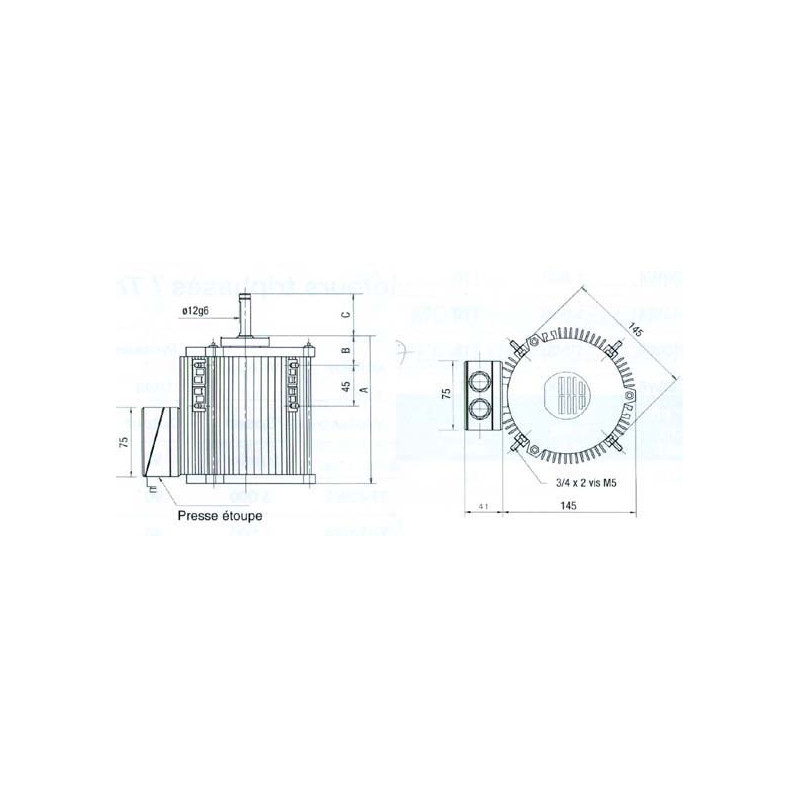 Moteur électrique TX090P4