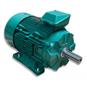 Moteur LS 160 15/4 B3 IE3