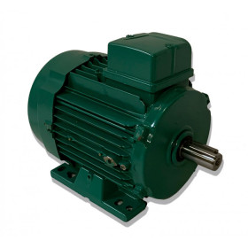 Moteur LS 90 0.25/0.07 12P B3