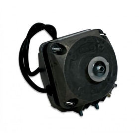 Moteur M4Q045-BD01-01