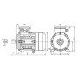 moteur-mta-100-lx8-4l-3-0-0-75-2-4-b3-iaddmi-283411-1.jpg