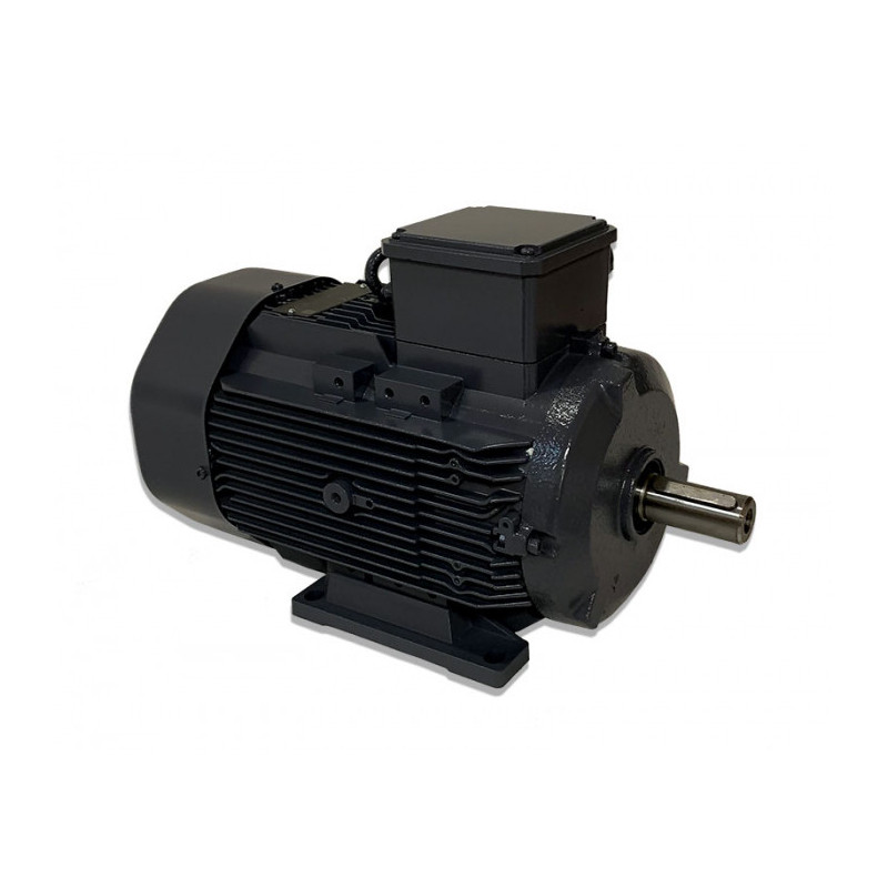 Moteur SPL 100 L4C 2.2/4 B3