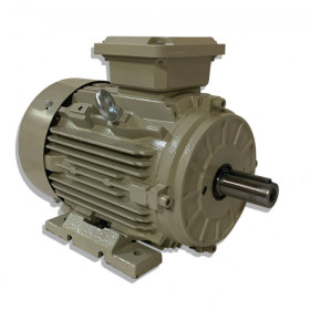 Moteur SPL 100 L8 0.75/8 B3