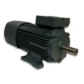 Moteur W41R 132  S6HR 3.0/6 B3 FREIN