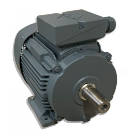 Moteur W41R 132  SX2 7.5/2 B3 + ROULEMENTS